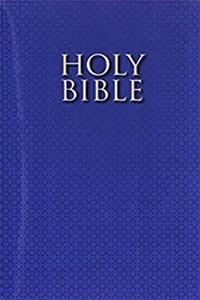 Download NIrV, Gift and Award Bible, Paperback, Blue fb2