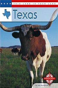 Download Texas (This Land is Your Land) fb2